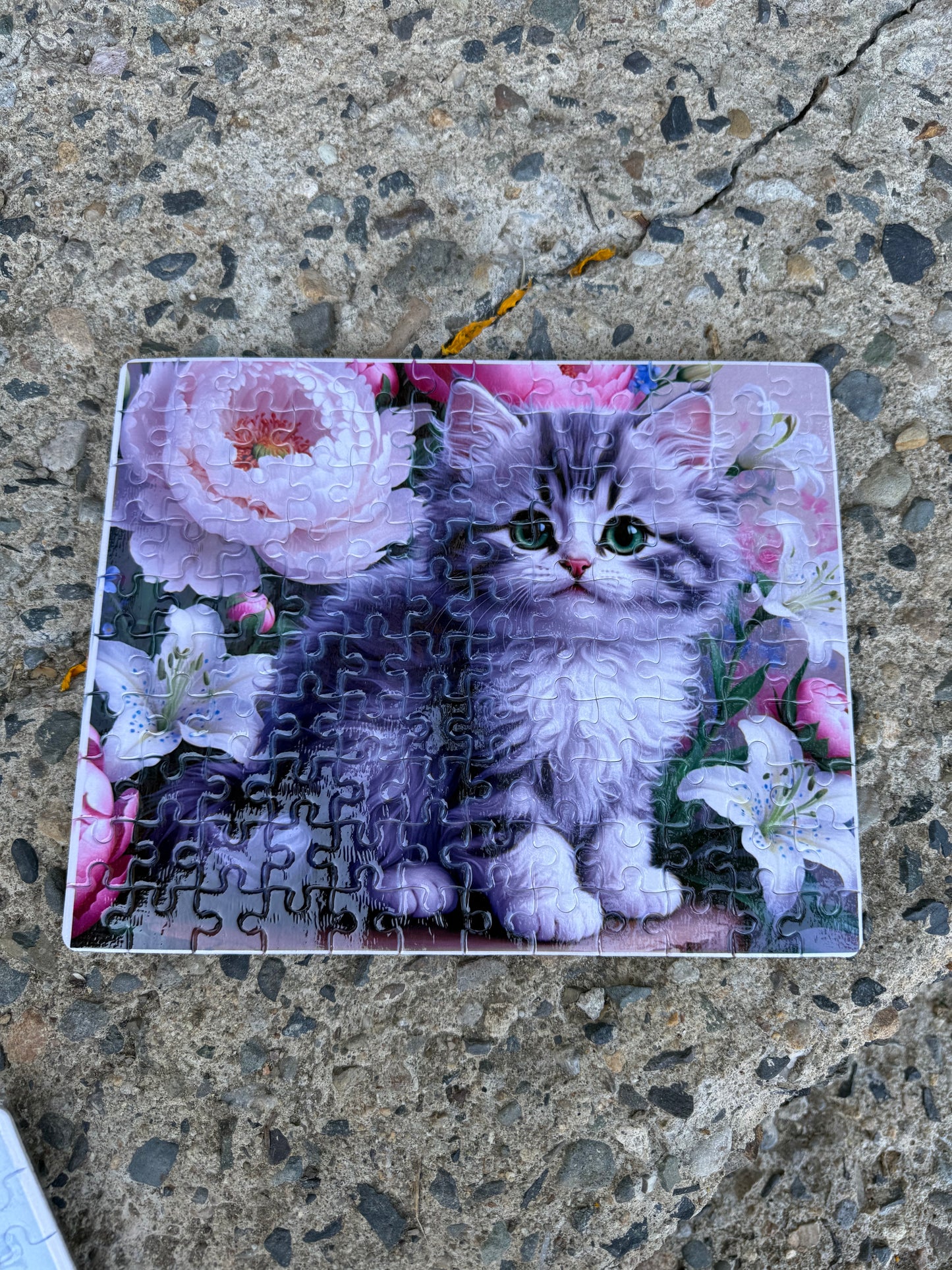 Kitten Kids Puzzle