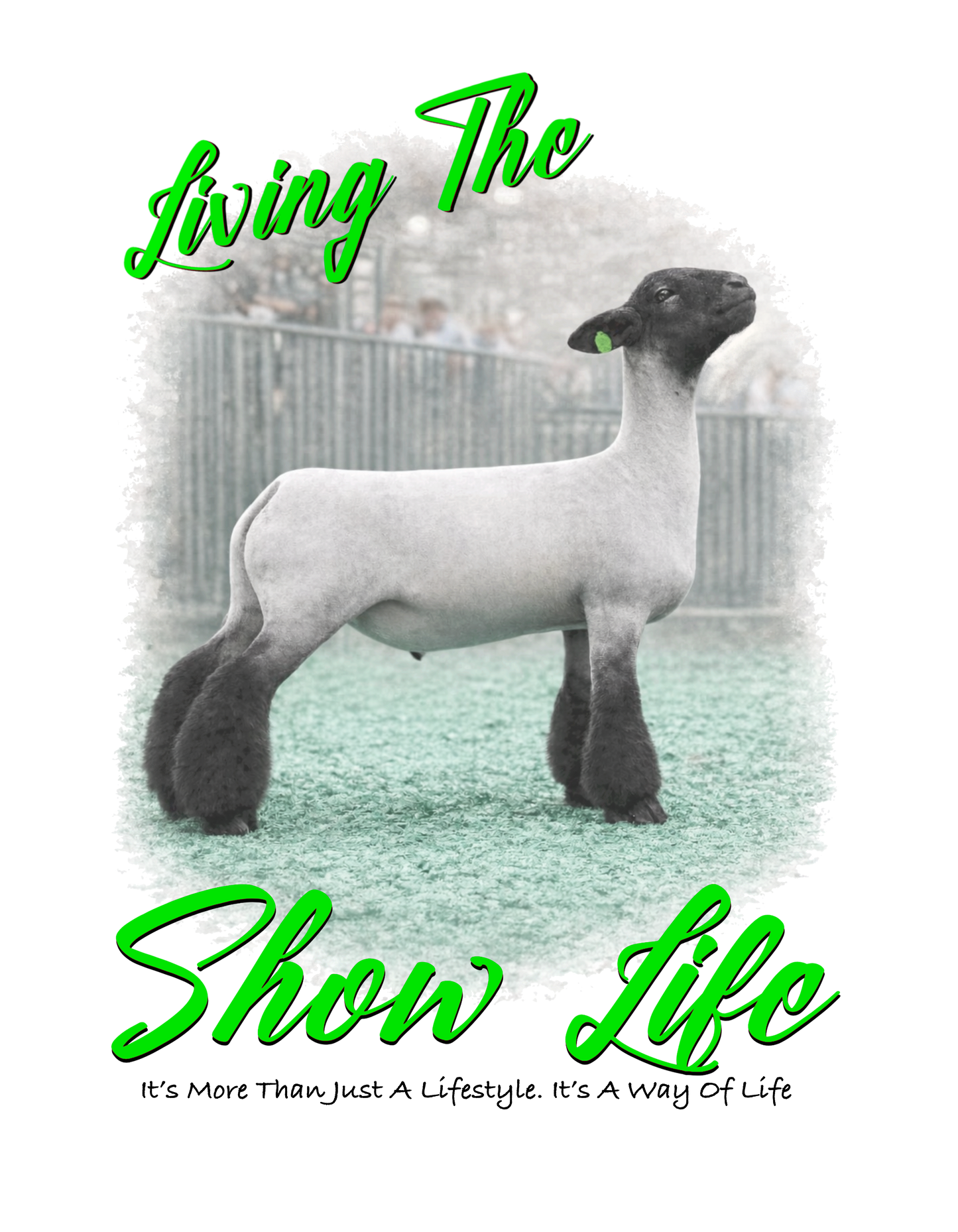 Lamb Show life (green font) DTF Transfer