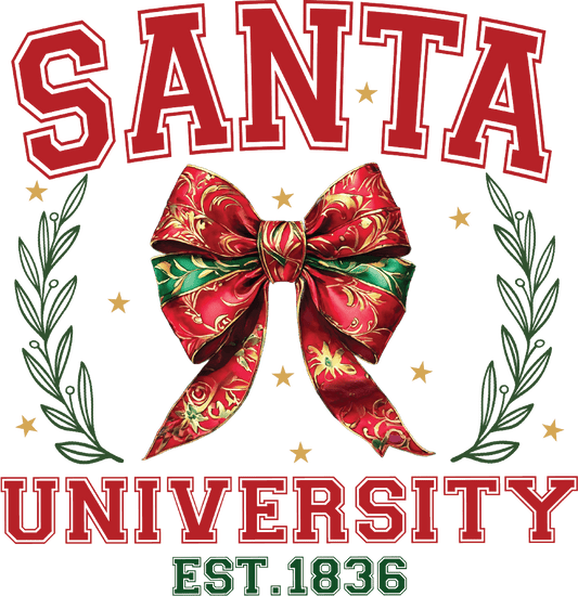 Santa University, DTF Transfer