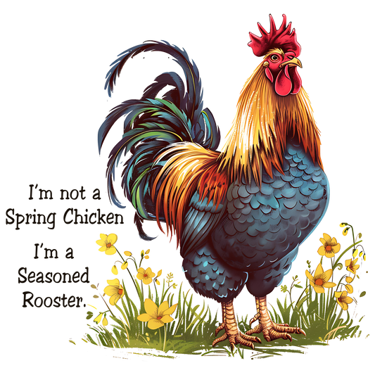 No spring chicken DTF Transfer