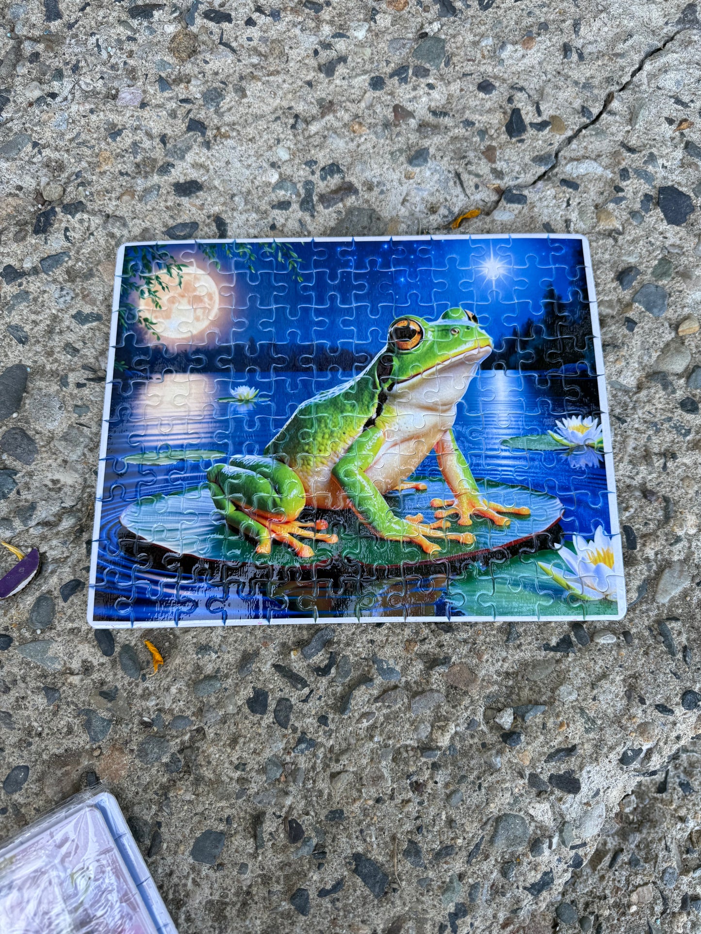 Frog Kids Puzzle