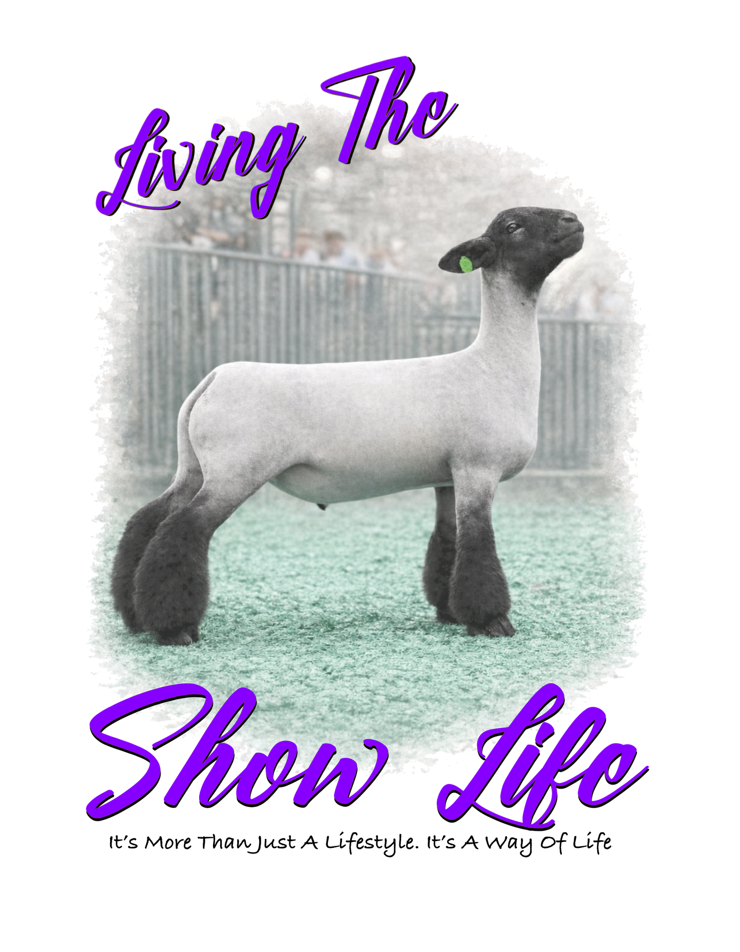 Lamb Show life (purple font) DTF Transfer
