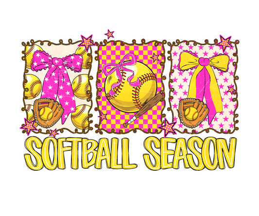 Softball season DTF Transfer