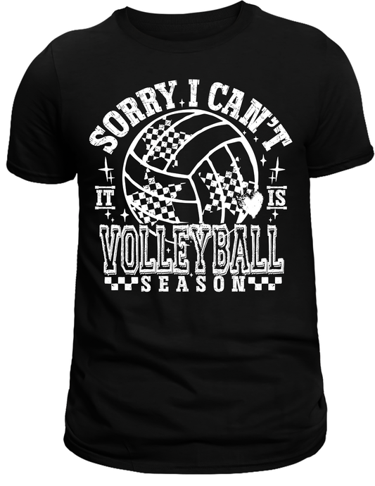 Volleyball Season DTF Transfer