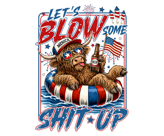 Let's Blow shit up DTF Transfer