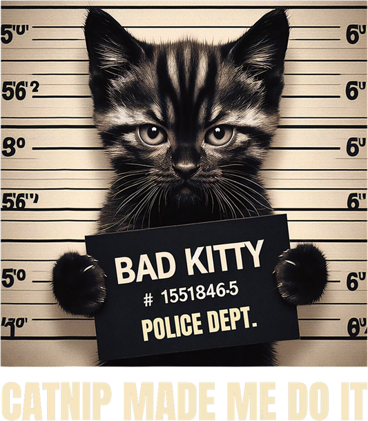 Bad Kitty....DTF Transfer