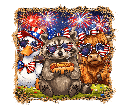 4th of July Sillys  DTF Transfer