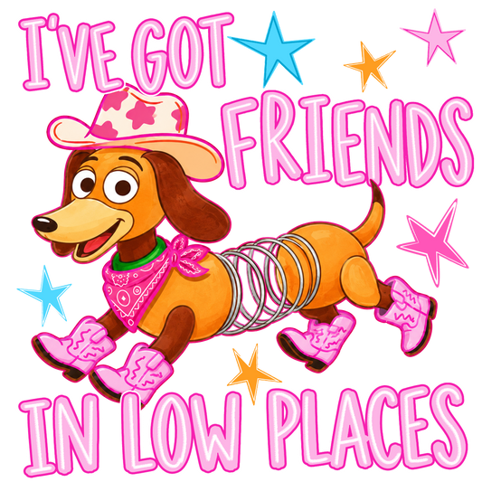 Iv'e got friends in low places DTF Transfers